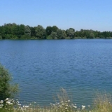 Fasaneriesee | © Wikimedia