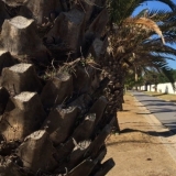 Strandpromenade in Spanien