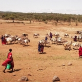Wasser tragen ist bei den Massai Frauensache. Manche müssen 6 Stunden bis zur Wasserstelle laufen.
