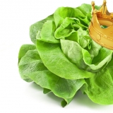 Salad Queen lautet der Name eines Benutzers bei Agar.io