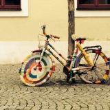 Fahrrad oder doch etwas mehr Abenteuer?