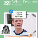 Screenshot-www.what-dog.net